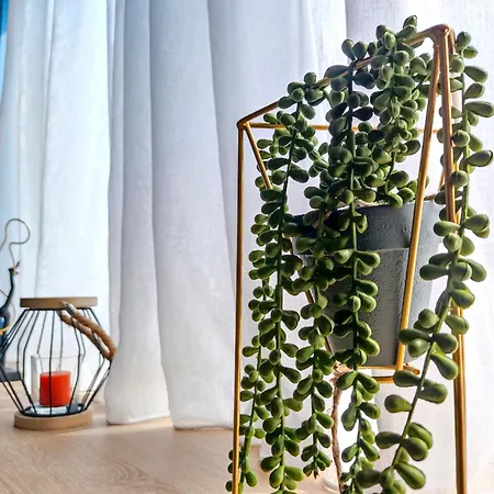 Apartment Syntagma Ermou *